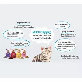 Catster Topping ผงโรยอาหาร Freeze Dried แคทสเตอร์ ท็อปปิ้ง สำหรับแมว ขนาด 50 กรัม