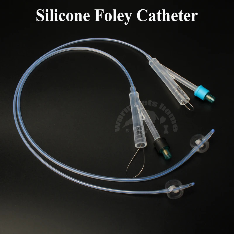 ซิลิโคน Foley Catheter พร้อมรูปแบบสัตว์สุนัข Catheters Fr6 Fr8 Fr10 สัตวแพทย์คลินิกวัสดุสิ้นเปลือง