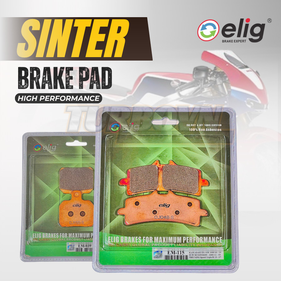 DAD TANG EMIG SINTER HONDA RC213V-S (T-115, S-039)