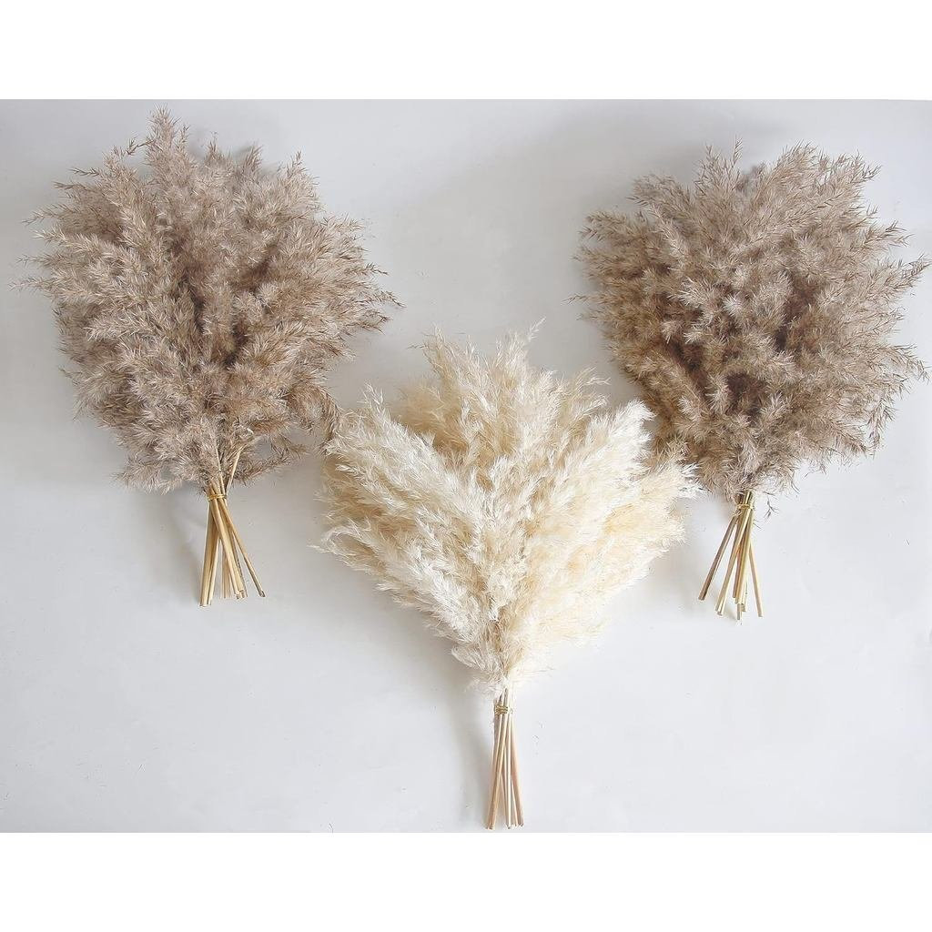 30 ชิ้น Boho Decor, Fluffy Pompas Grass, Natural Dry Pampas Grass ขนาดเล็ก, Short Pampas Bulk สําหรั
