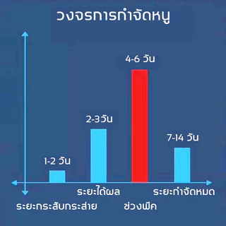 1 คืน หนูตายหมด ยาเบื่อหนู 500g นำเข้าจากอเมริกา จดสิทธิบัตร สูตร ยาไล่หนู ยาฆ่าหนู ทำจากข้าวสาลี อาหารที่หนูชอบที่สุด