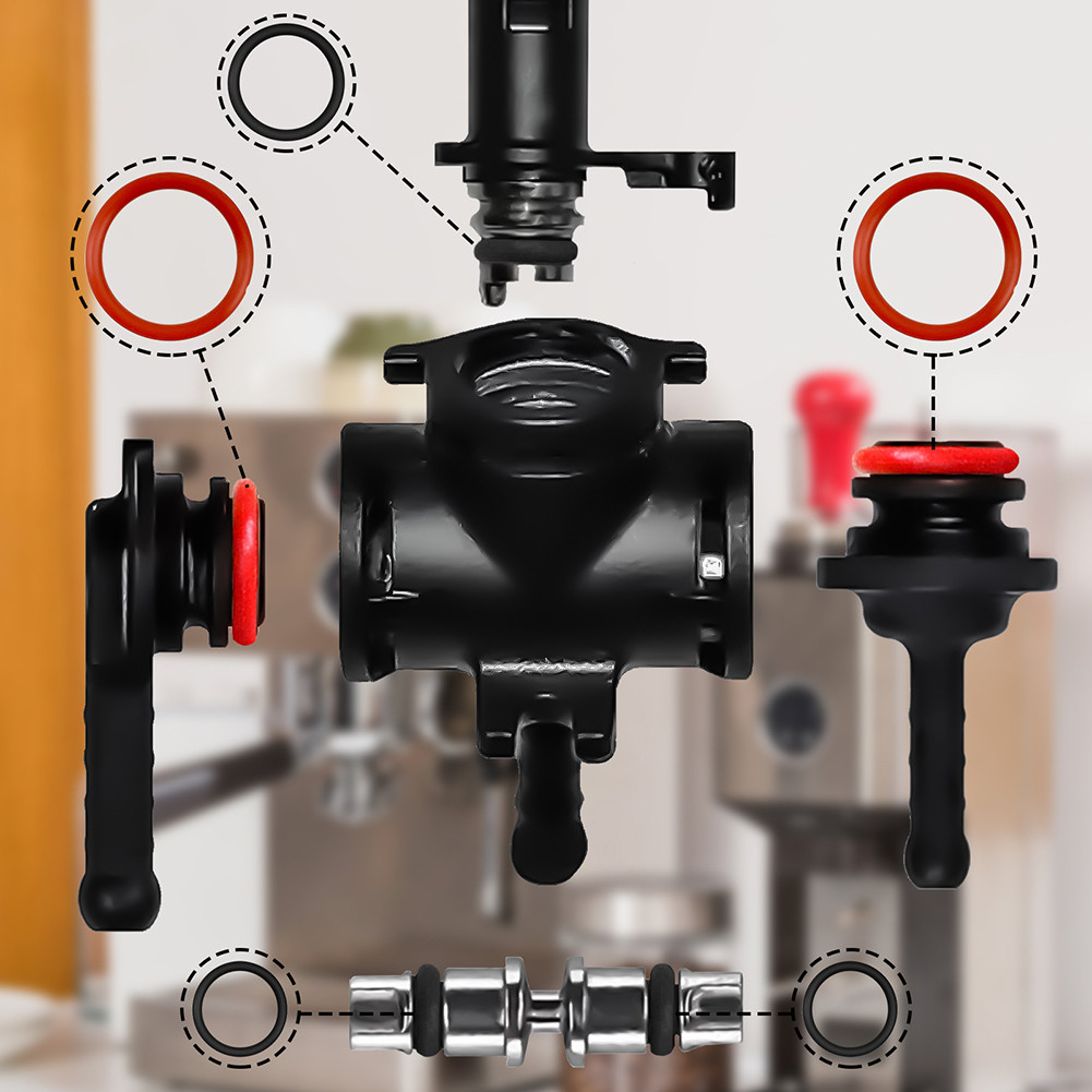 O-Rings ใช้งานร่วมกับ Philips Saeco Spidem Gaggia ชุดบํารุงรักษาที่ครอบคลุม: สําหรับ Saeco Gaggia Ac
