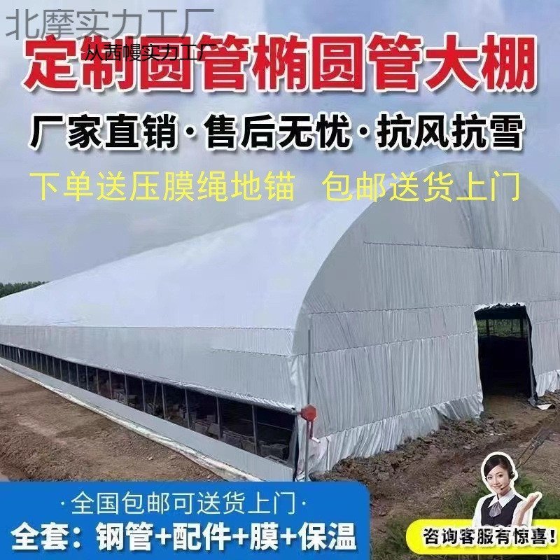 Breeding Duck Shed Breeding Full Set Pig Shed Cow Shed Goose Sheep Chicken Breeding Green Shed Rabbi