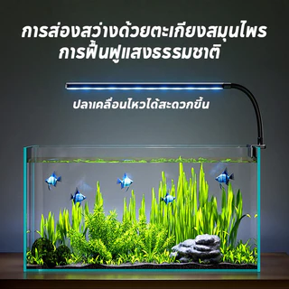 ไฟตู้ปลาเเบบหนีบ โคมไฟตู้ปลา LED ปรับมุมได้ 360° ลดแสงธรรมชาติ ทั้งปลาและพืชน้ำที่เหมาะสม