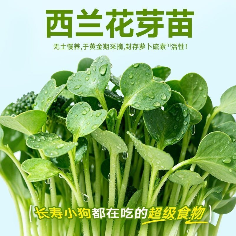 Yihe Fresh Pet Dog Snacks Staple Food Companion 208g/Yihe Fresh Pet Dog Snacks Staple Food Companion