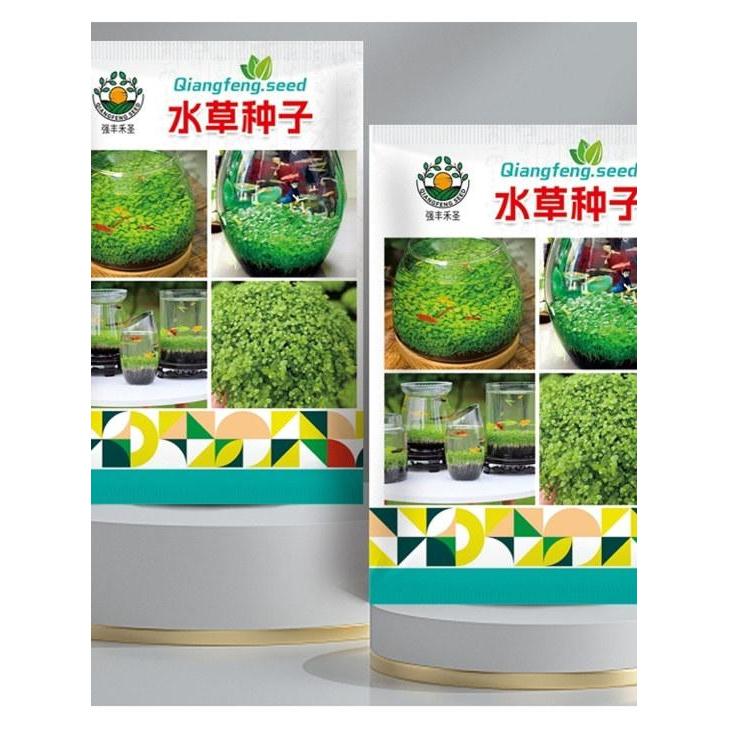 现货*水草种子生态 玻璃瓶真植物种子盆栽套餐培绿植装饰草缸鱼缸造景Aquatic plant seeds, ecological glass bottle, real plant seeds20260