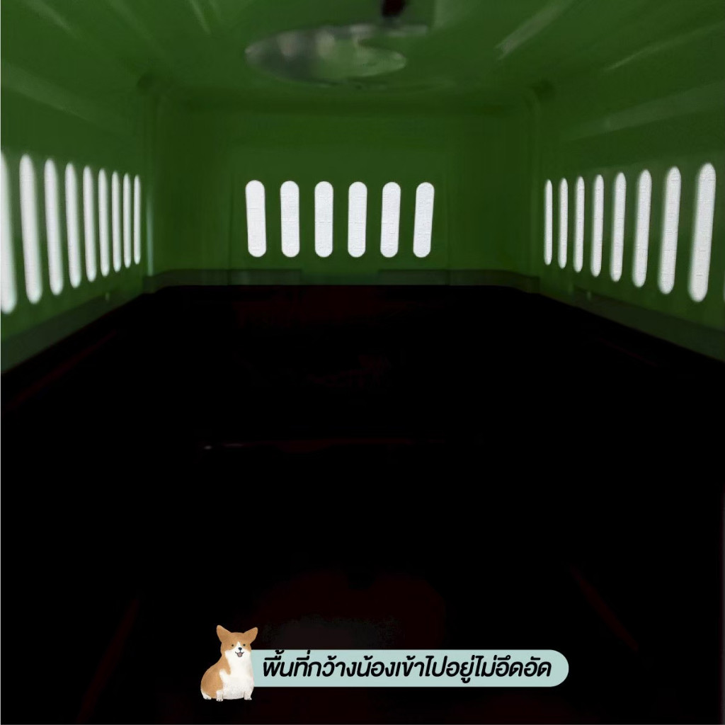Thumbnail 7