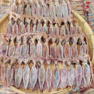 หมึกแพ อร่อยๆ ใหม่ๆ หอมๆ ไม่เค็ม เนื้อหวาน น้ำหนัก 500 กรัม