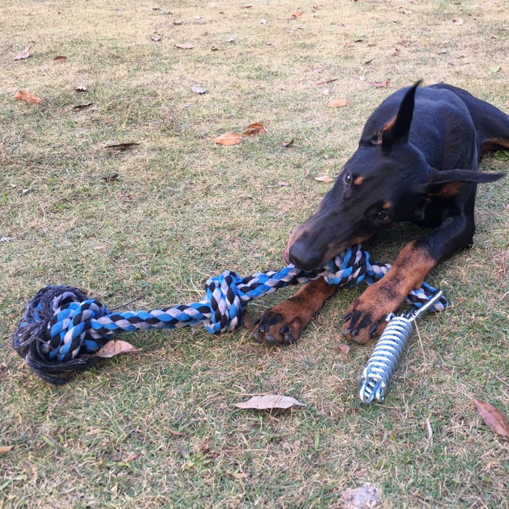 [EPAY] Spring Pole Dog Rope ของเล่นสุนัข Tug Of War ของเล่นกลางแจ้งแขวนเชือกออกกําลังกายสําหรับสัตว์เลี้ยง