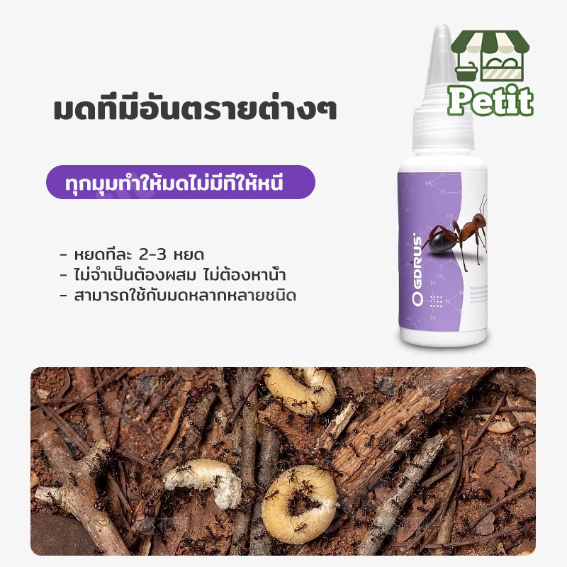 ยาฆ่ามด เจลกำจัดมด เหยื่อกำจัดมด ไล่มด ป้องกันมด เจลไล่มด เจลล่อมด สำหรับใช้ในบ้าน รูปที่ 8