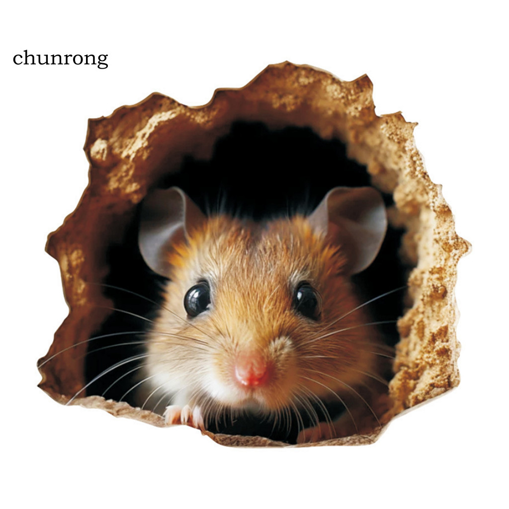 สติ๊กเกอร์ติดผนัง Fade-proof Wall Decal 3d Mouse Wall Decal สมจริง Rat Hole สติกเกอร์ Pvc 3d Effect 