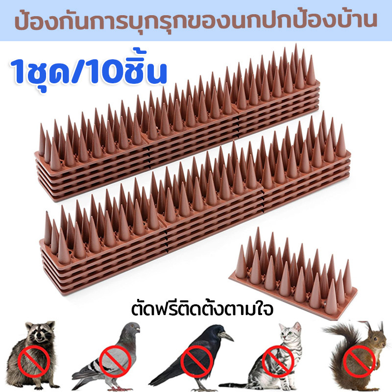 【10ชิ้น】หนามป้องกันไล่นก อุปกรณ์ป้องกันนก ป้องกันนกเกาะ ป้องกันนกมาทำรัง วิธีกำจัดนกได้ผลจริง ทนทาน