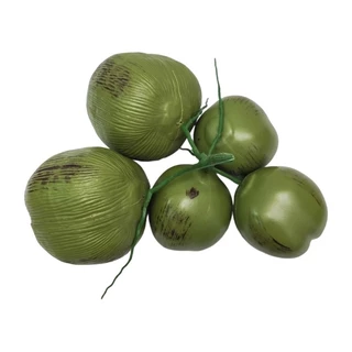 Realistic Coconuts Fruit Vegetable Model Photography Props Durable ABS Materials