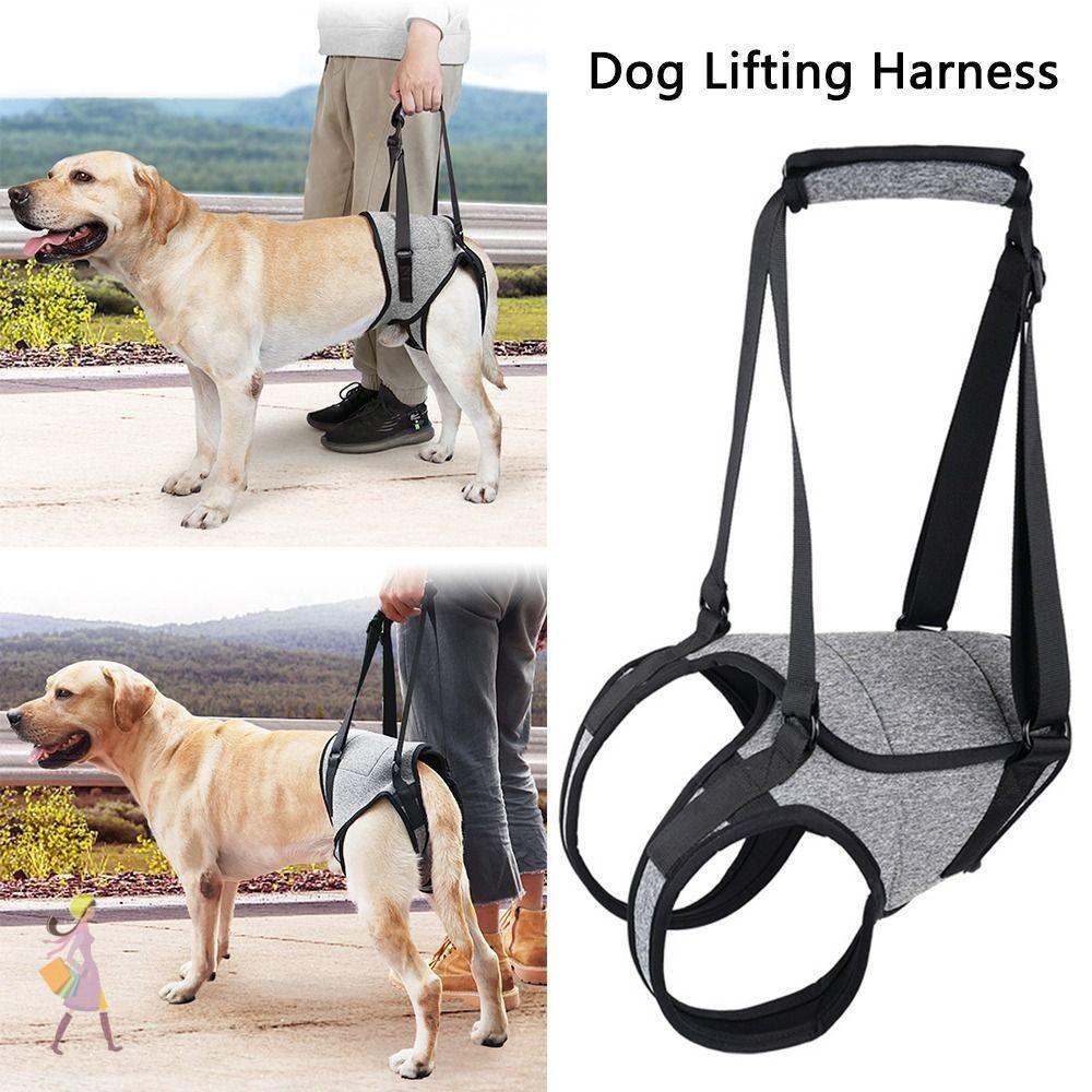สายรัดพยุงสุนัข YGBG ขาหลัง Ligament Rehabilitation Dog Lifting Harness, Disabled ปรับ Injured Dog Support Sling Dog