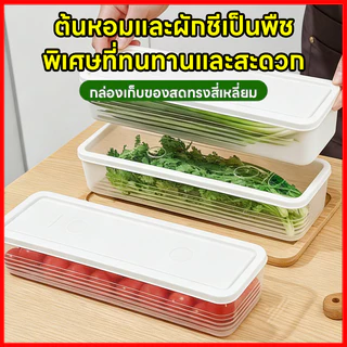 กล่องเก็บผักผลไม้ ใส่อาหาร สุดยอดการถนอมอาหาร ฝานุ่ม ป้องกันกลิ่น ขนาด 29 ซม.