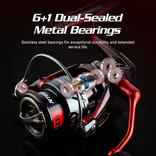 BEARKING RTBLUE D1 REEL 5.2:1 รอกสปินนิ่งสำหรับน้ำจืดและน้ำเค็ม รองรับน้ำหนักได้ถึง 10 กก.