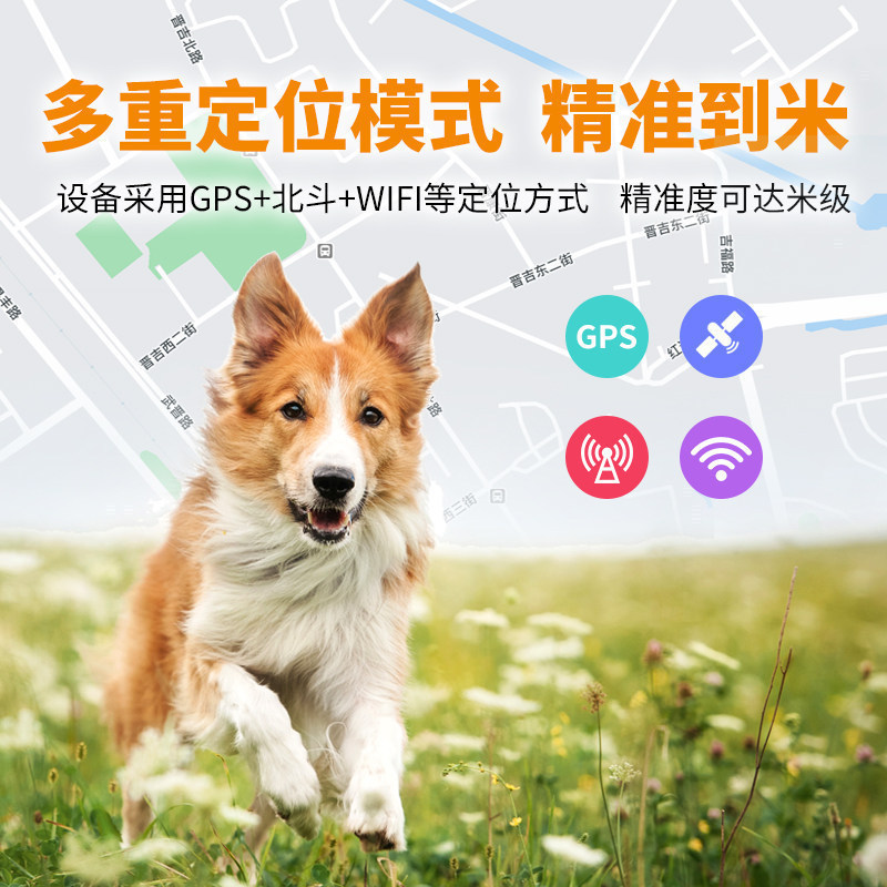 4G Pet Locator GPS แมวสุนัขแกะ Location Anti-Lost ปลอกคอกันน้ํา Grazing Location Tracker i
