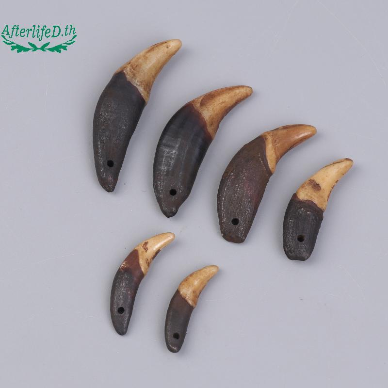 AF 1/2/5 ชิ้น ฟันธรรมชาติ สร้อยคอ จี้ และเครื่องประดับ DIY เพื่อความสงบ พร้อมวัสดุตกแต่งสำหรับการจับ