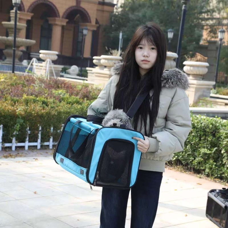 Out Trolley Case Cat Dedicated Pet Stroller Lightweight Kissable Air Box Item Out Pet Folding Cat Ou