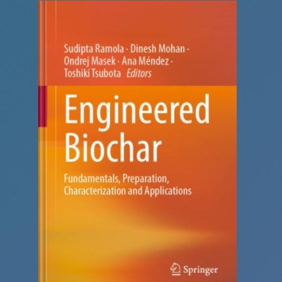 Engineered Biochar: Fundamentals, เตรียม, การปรับแต่งและการใช้งาน - ปกอ่อน