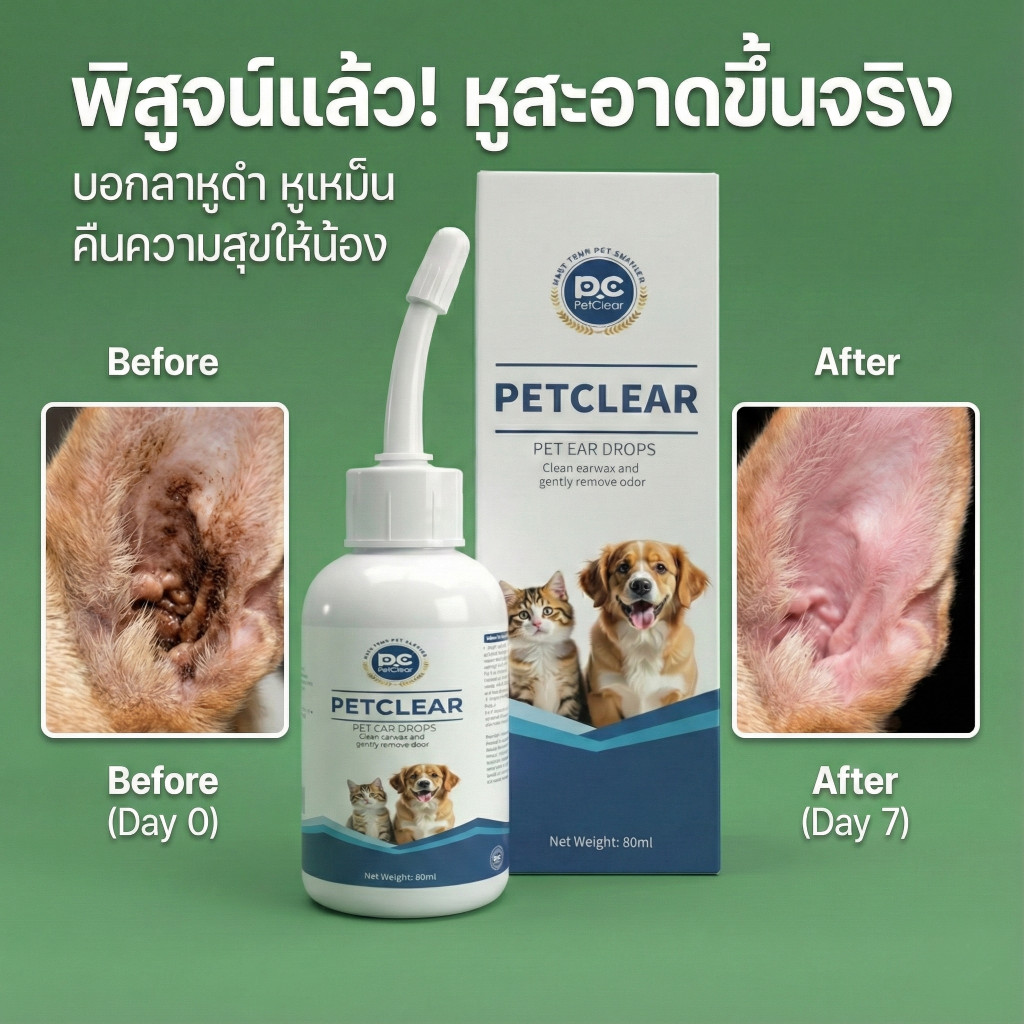 รูปภาพ 7