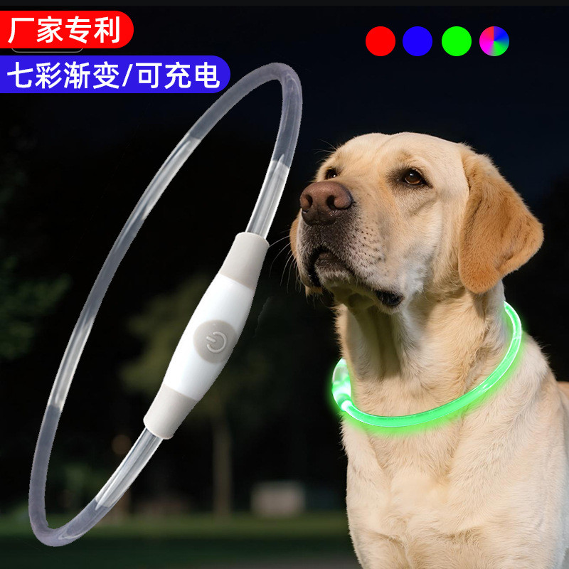 สัตว์เลี้ยงสุนัข Luminous COLLAR Night Gradient COLLAR สุนัขเดิน Handy เครื่องมือสุนัขเดินชาร์จกันน้