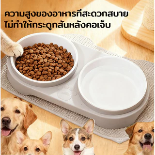 ชามอาหารแมว จานอาหารแมว ถอดออกได้ สองชั้นเพิ่มความลึก ปลอดภัยและไม่เป็นพิษ