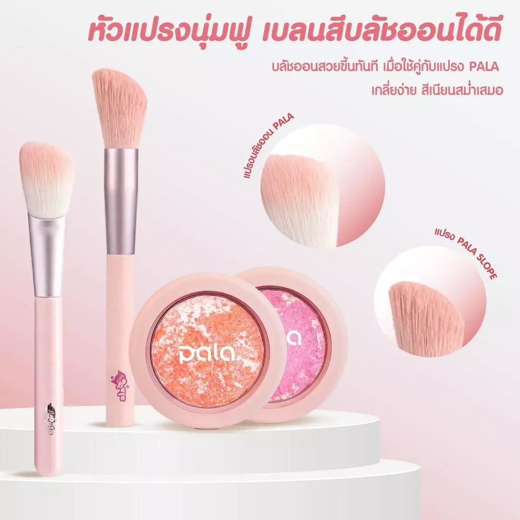 PALA Baked Powder Soft Fog Blusher บลัชออน 8.5g thumbnail 9