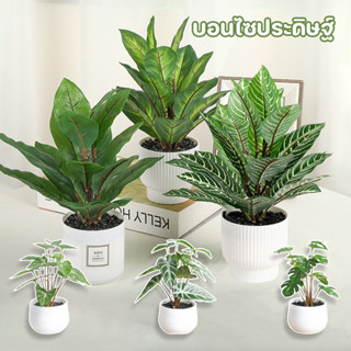 COD บอนไซประดิษฐ์ INS พืชสีเขียวประดิษฐ์ มีกระถางดอกไม้ ต้นบ…