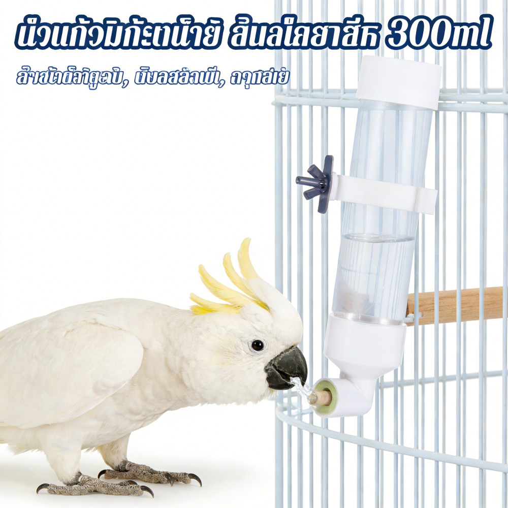 ให้น้ำอัตโนมัติ ขวดนกแก้ว ป้องกันน้ำหก หลอดให้น้ำ ขวดน้ำนก ติดกรง 300ml หัวทองเหลือง