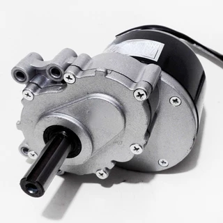 มอเตอร์แปรงความเร็วต่ำ 24v 250w 75 RPM 120 RPM 9 ฟัน 410 เฟือง สําหรับเครื่องตัดหญ้า ลู่วิ่ง รถเข็น จักรยานไฟฟ้า
