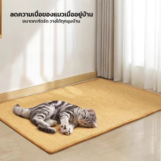 แผ่นลับเล็บแมวใยปอ มีลูกบอล มีช่อง ช่วยระบายอากาศ ไม่อับชื้น อุปกรณ์สำหรับแมว