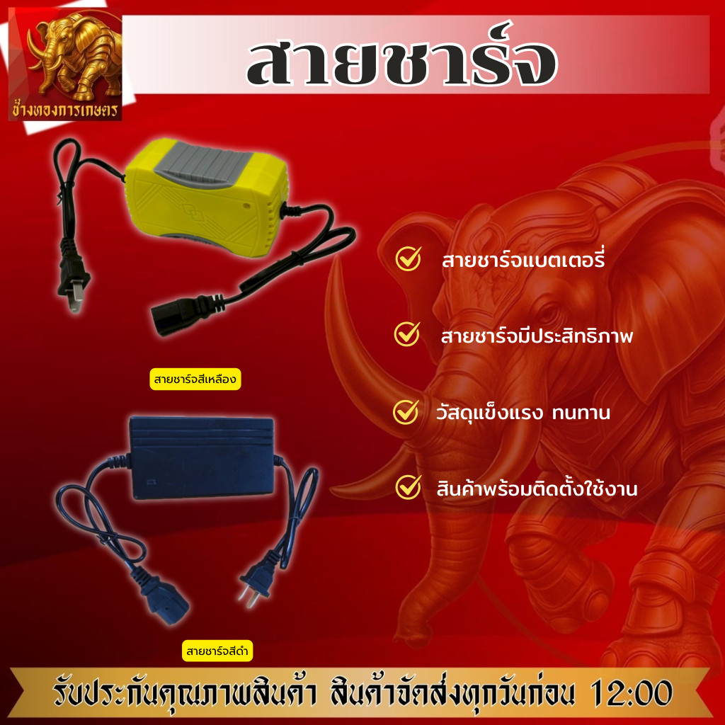 สายชาร์จ 2A ที่ชาร์จ เครื่องพ่นยาแบตเตอรี่ adepter 2A