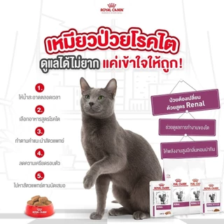 Royal canin อาหารเม็ดแมว สูตรโภชนาการเฉพาะ ทางการแพทย์ขนาด 2kg-2.5kg
