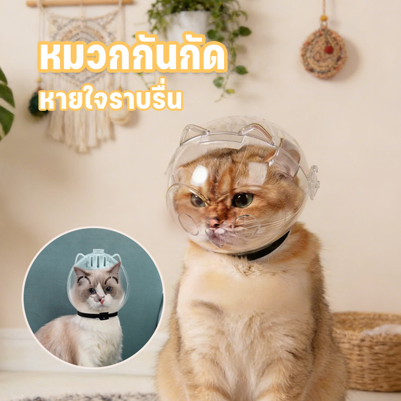 ครอบหัวกันแมวกัด ครอบหัวกันแมวกัดกันเลีย คอลลาร์เอลิซาเบธ ระบายอากาศได้ ใช้อาบน้ำ/ตัดเล็บ สำหรับแมวทุกสายพันธุ์