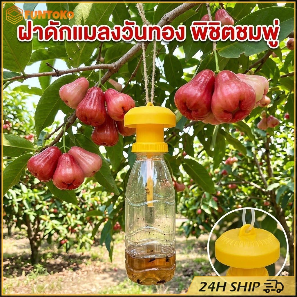 ดักแมลงวันทอง พลาสติก เครื่องดักจับแมลงวัน ล่อแมลงวัน ร้านอยู่กรุงเทพ