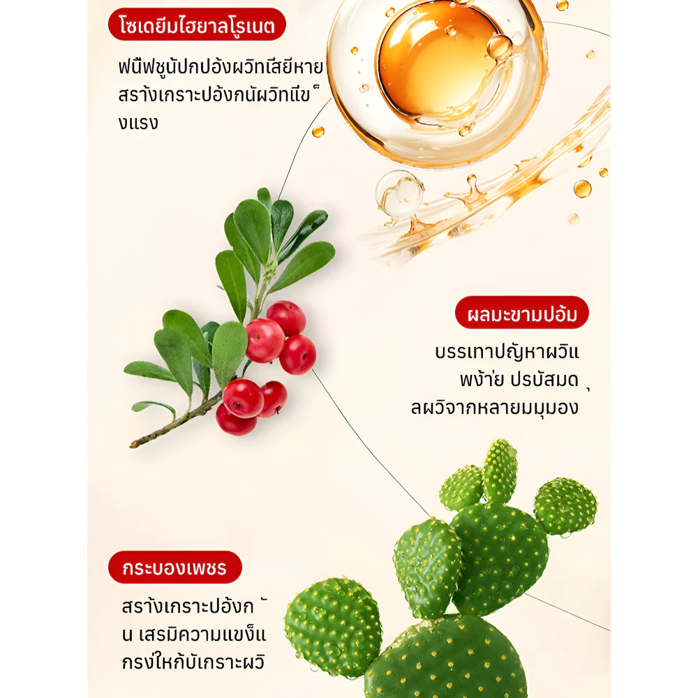 JC Ginseng & Peony Cream ครีมบำรุงผิวหน้า ลดริ้วรอย thumbnail 10