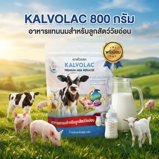 [800กรัม] KALVOLAC นมผงเลี้ยงลูกสัตว์วัยอ่อน สุนัข แมว โค วั…