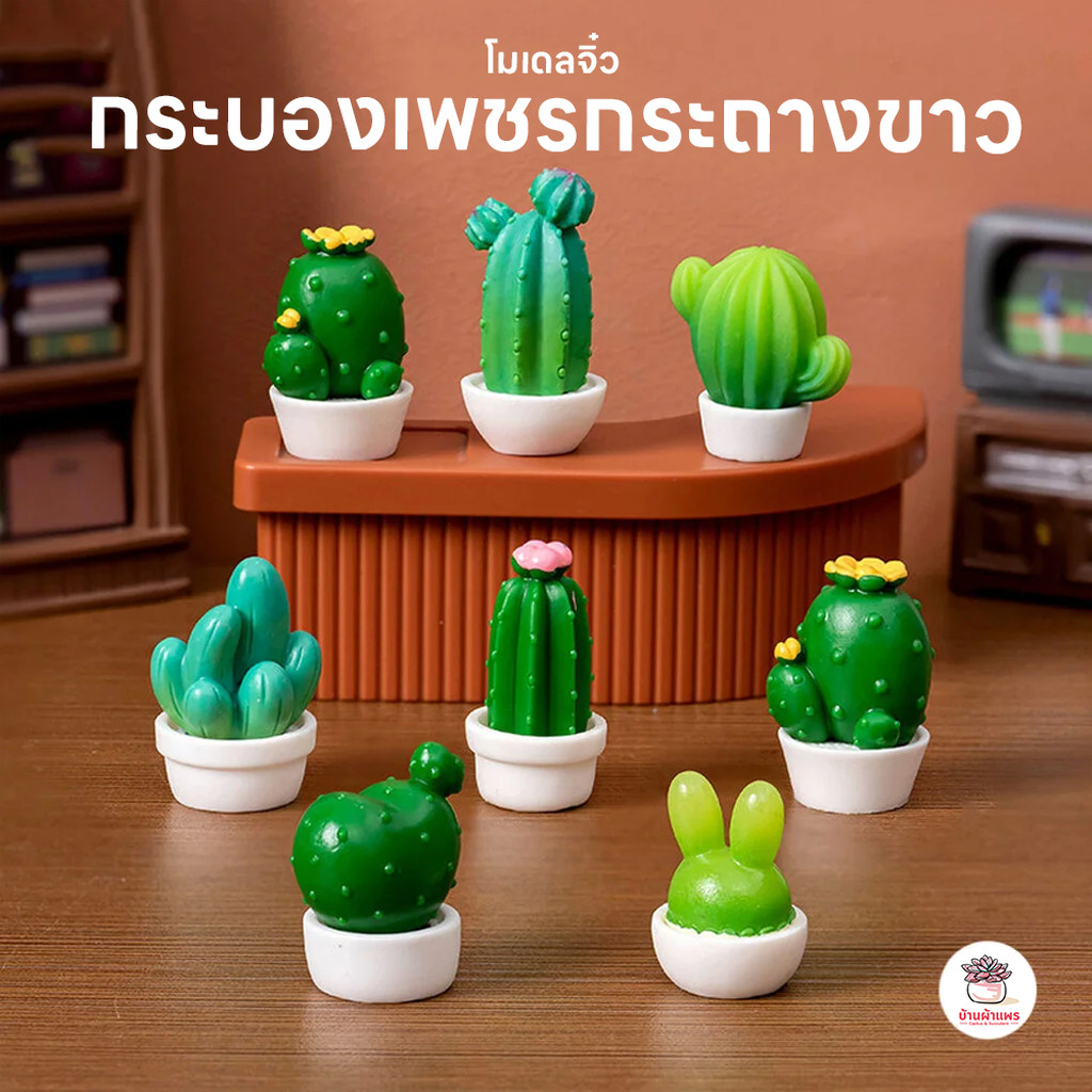 กระบองเพชรกระถางขาว ตุ๊กตาจิ๋ว โมเดลจิ๋ว แต่งสวน ตุ๊กตาแต่งสวนจิ๋ว ตุ๊กตาจัดสวนถาด