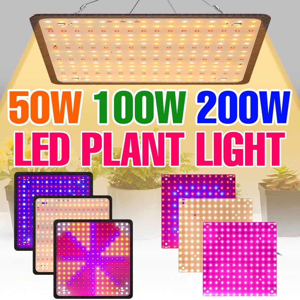 200W LED พืชเติบโตแสง AC85-265V Quantum Board Full Spectrum เรือนกระจกเต็นท์ระบบ Hydroponics การเพาะปลูกแสง RedBlue แสงแดด Succulent ในร่ม Potting Sapling เติมโคมไฟ