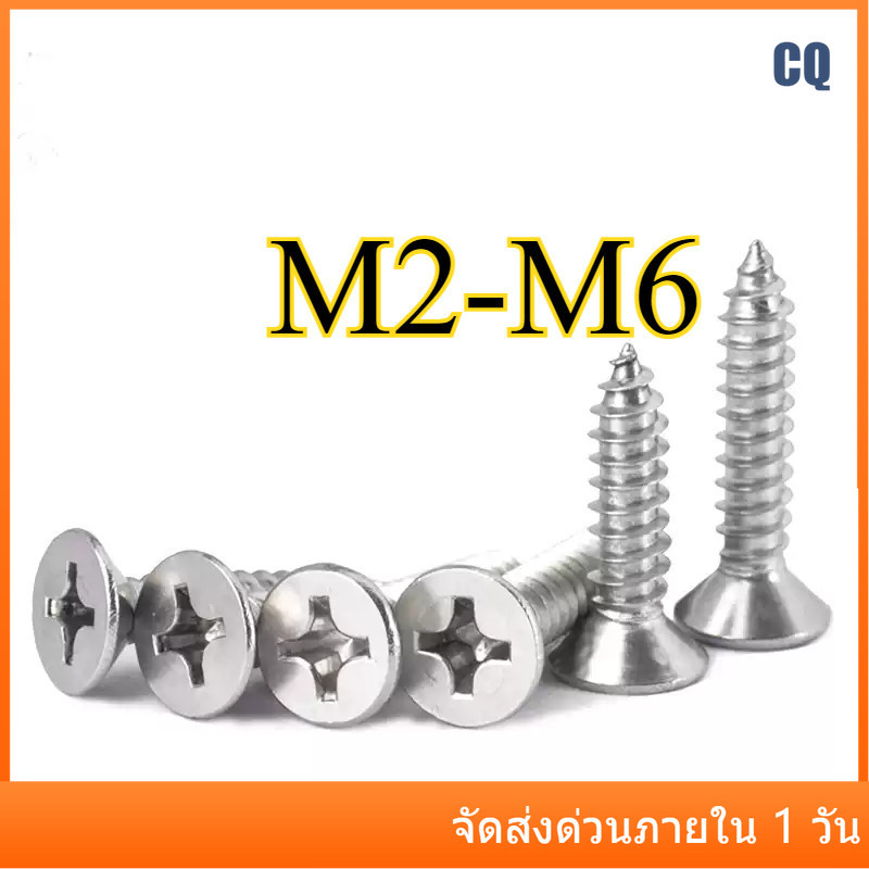 สกรูเกลียวปล่อย หัวF/สแตนเลส 316 ตัว ตะปูเกลียวปล่อย Flat Head Phillip Tapping Screw M2/M2.2/M2.6/M3/M3.5/M4/M5/M6 * L5-100 มม.CQ-MB-1