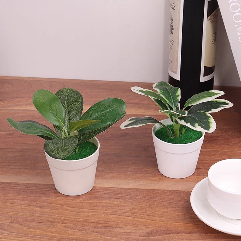 พร้อมส่งจ้า กระถางพร้อมต้นไม้ปลอมมีให้เลือกกว่า 4 แบบประดับโต๊ะทำงานบ้านร้านอาหารสถานที่ต่างๆค่ะ - รูปที่ 2