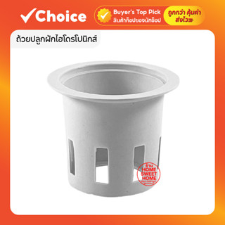 ถ้วยปลูกผักไฮโดรโปนิกส์ ถ้วยขาวปลูกผัก 50 ใบ (แบบใช้ซ้ำ)