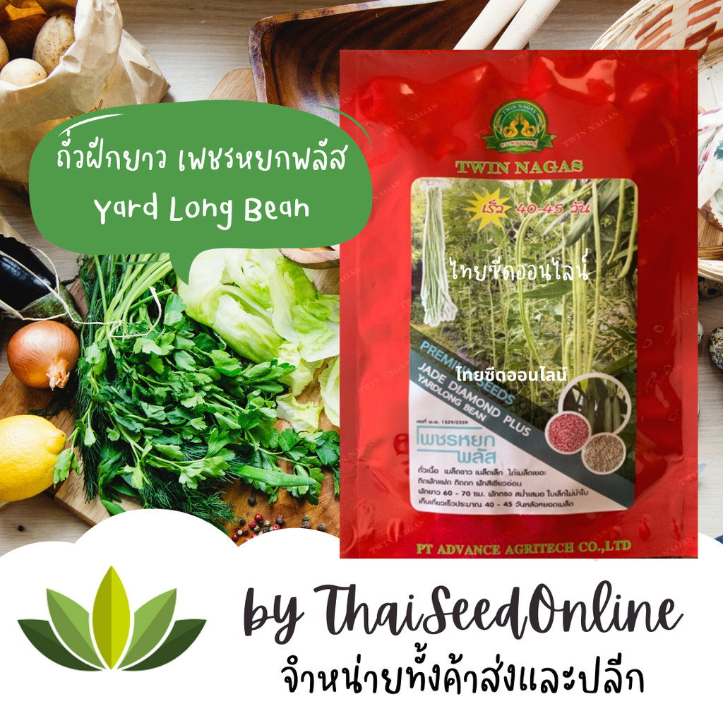 ถั่วฝักยาว เมล็ดขาว เพชรหยกพลัส Yard Long Bean พญานาค ถั่วไร้ใบ