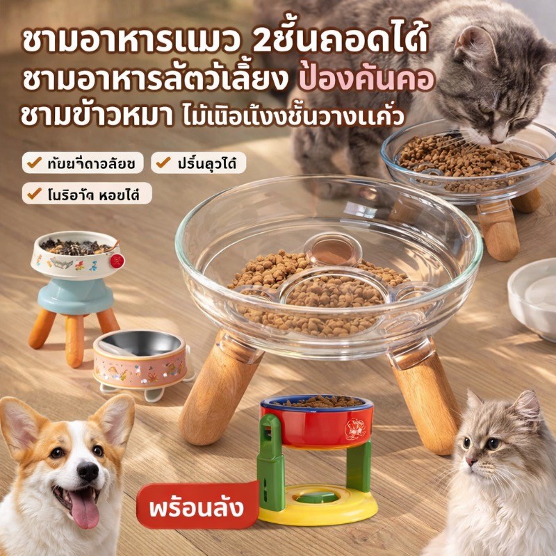 ชามอาหารแมว 2ชั้นถอดได้ ชามอาหารสัตว์เลี้ยง ป้องกันคอ ชามข้าวหมา ไม้เนื้อแข็งชั้นวางแก้ว ทําความสะอาดง่าย