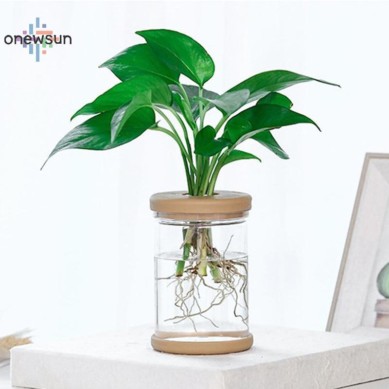 Onew กระถางดอกไม้โปร่งใส Hydroponic การดูดซึมน้ําอัตโนมัติกระถางดอกไม้พลาสติก sun