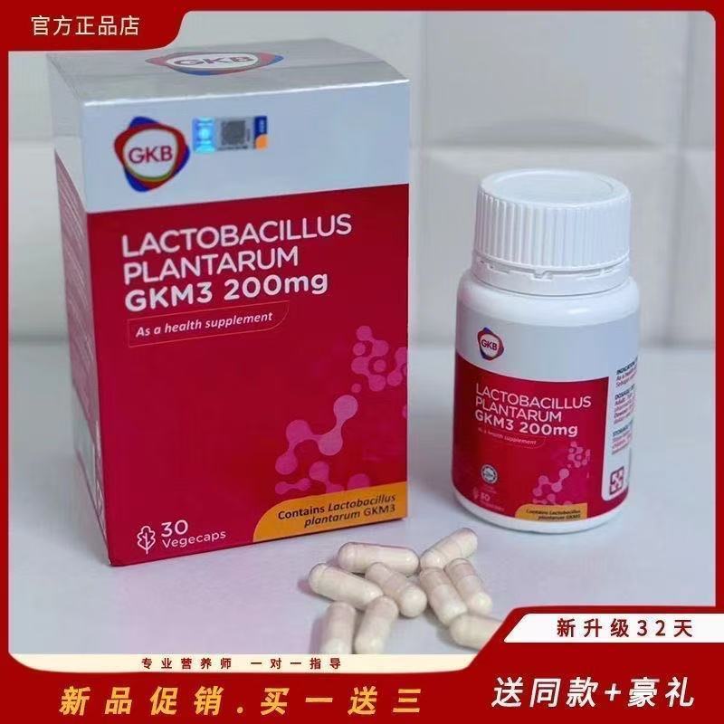 马来亚GKB โฟมล้างมือ แลคโตบาซิลลัส PLANTARUM GKM33.16