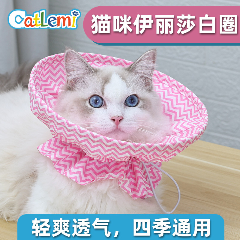 คอลล่าแมว คอลล่าแมวกันเลีย Cat catlemi Elizabeth Collar Pet Headgear Cat Collar Pet Anti-Bite Inject