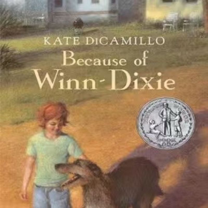 Paper Books เพราะชนะ-Dixie 91