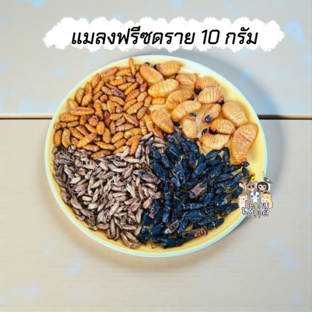 [ 10 กรัม ] แมลงฟรีซดราย จิ้งหรีด สะดิ้ง ดักแด้ ด้วงสาคู สำหรับ สัตว์เลี้ยงกินแมลง ชูการ์ กระรอก เบี้ยดดราก้อน ลิง